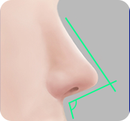 비순각 각도 입체감 UP