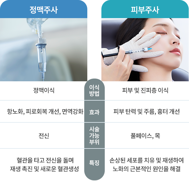 줄기세포 시술방법